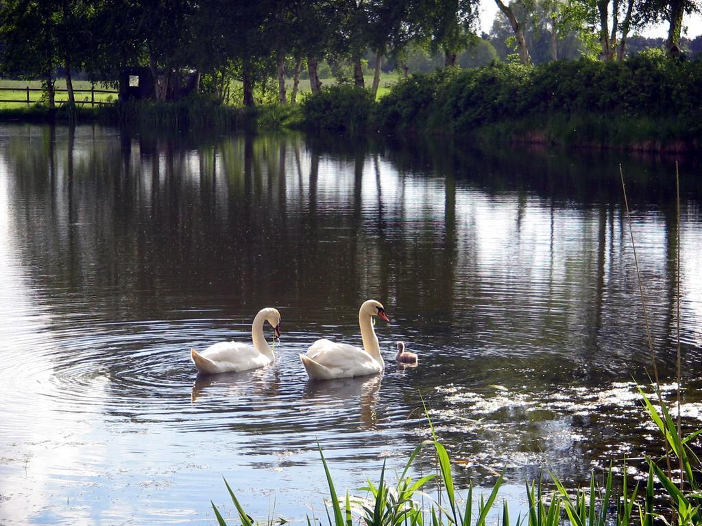 Pension Am Birkensee Detern Exterior foto